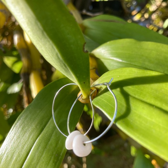 Authentic Hawaiian Puka shell earrings - Picture 4 of 8